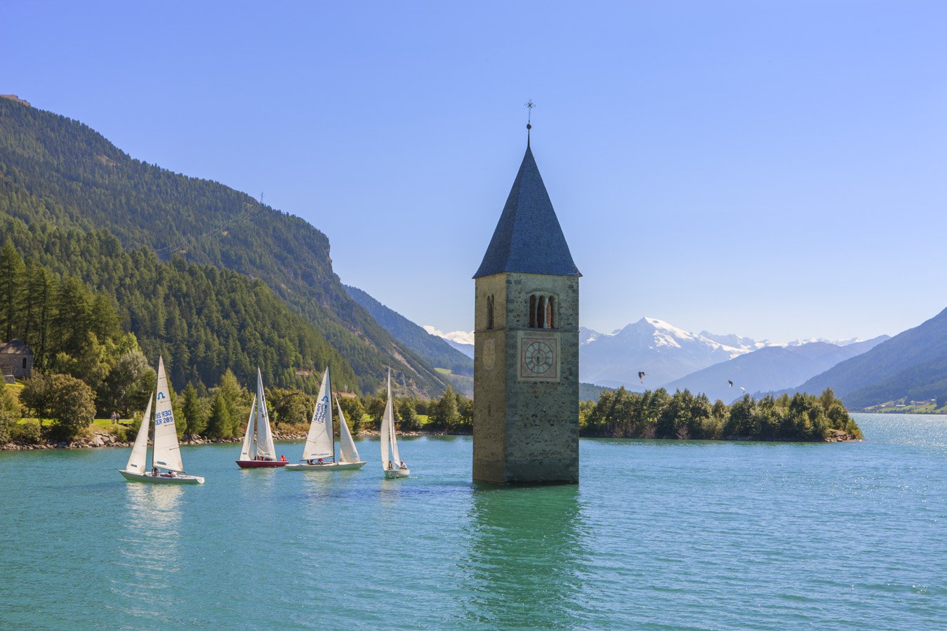 Segler umkreisen den Kirchturm im Reschensee